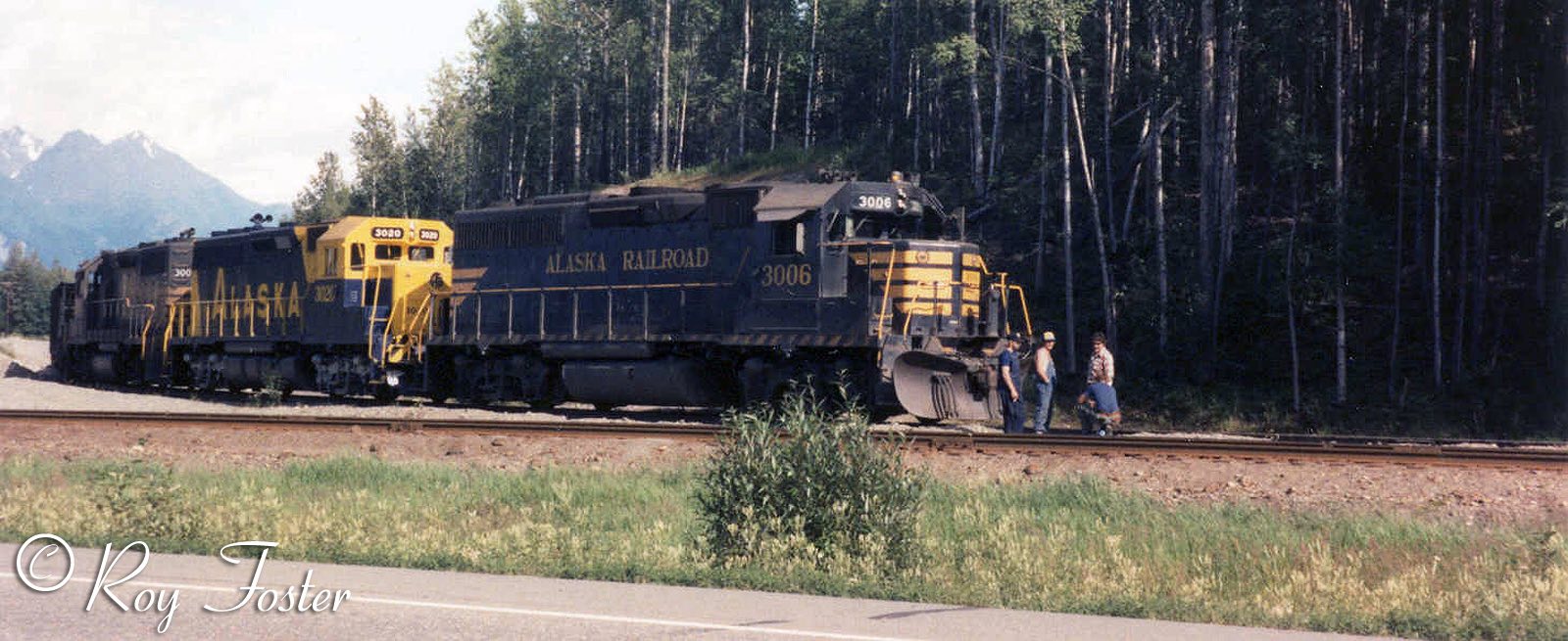 ARR 3006, Palmer Branch