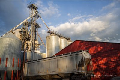 Alaska Mill and Feed