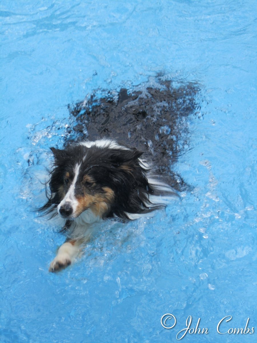 At the pool