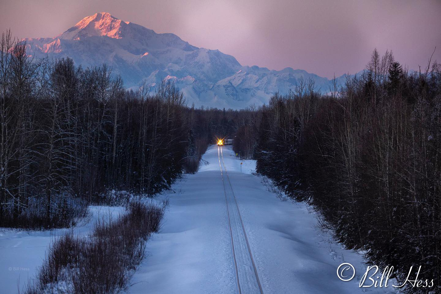 Denali watches over