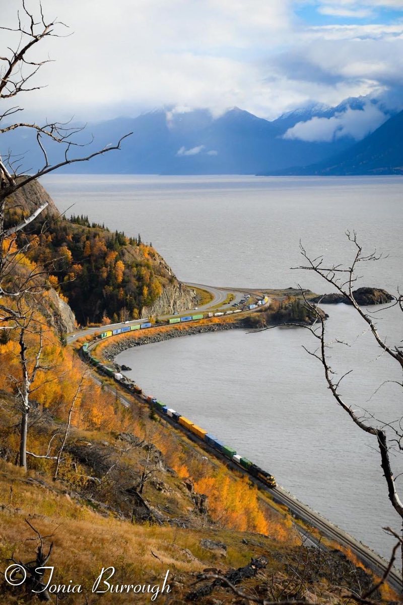 Afternoon hike along the Turnagain Arm was glorious!