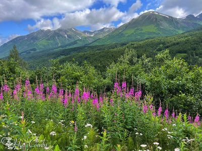 Kenai Peninsula