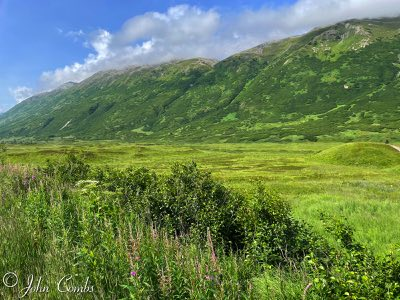 Turnagain Pass