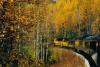 Mountains, fall foliage, trains