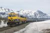 Southbound train from Fairbanks, 4004+4005+oil cars at Honolulu